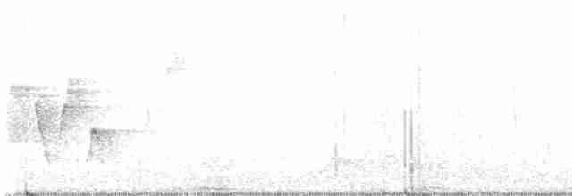 Connecticut Warbler - ML575531221