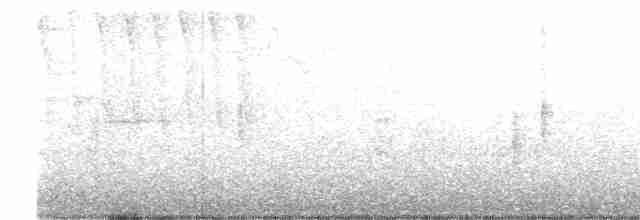 Paruline à calotte noire (pusilla) - ML575545971