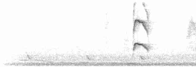 Bran-colored Flycatcher - ML575565591
