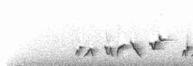 Troglodyte à poitrine grise - ML575589251