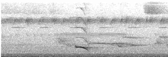 Trogon rosalba (aurantiiventris/underwoodi) - ML575599711