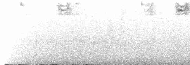 Tohi à nuque brune - ML575619181