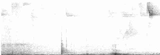 Black-cheeked Warbler - ML575619221