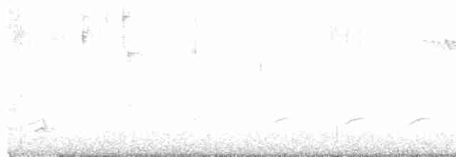 Weißbrustkleiber - ML575651951