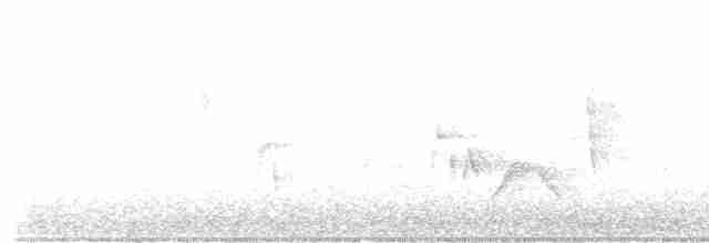 White-eyed Vireo - ML575653781