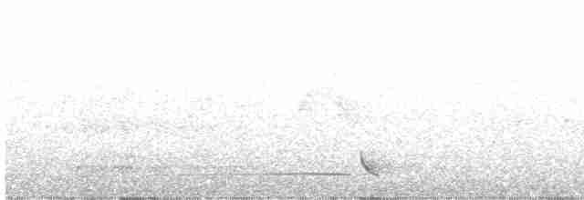 Japanese Bush Warbler - ML575671071