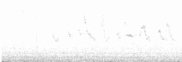 Елепайо гавайський (підвид bryani) - ML575682931