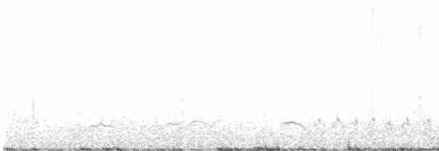 Magellanic Plover - ML575699191