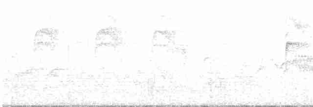 Cerulean Warbler - ML575700191