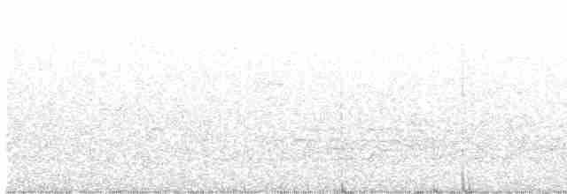 Kentucky Warbler - ML575716191