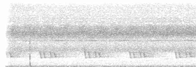 Blue-eared Barbet (Black-eared) - ML575751171