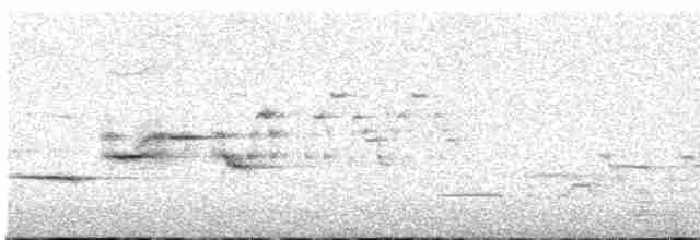 Дрізд-короткодзьоб плямистоволий - ML575752651