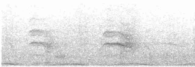 Common Tern - ML575754031