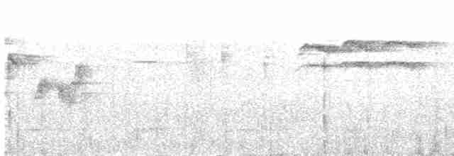 White-throated Shrike-Tanager - ML575799901