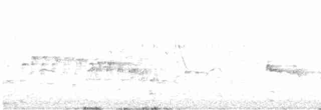 Gezgin Islıkçı Ördek - ML575801841