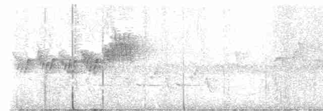 Cerulean Warbler - ML575809061