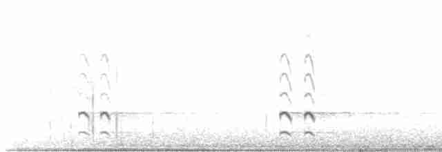 Black-tailed Godwit - ML575818751