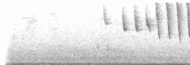 Tennessee Warbler - ML575819911