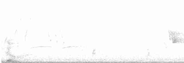 Kentucky Warbler - ML575838431