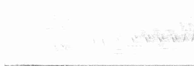 Cerulean Warbler - ML575840341