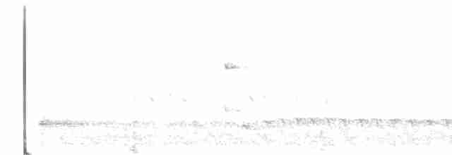 Бурый соловьиный дрозд - ML575852711