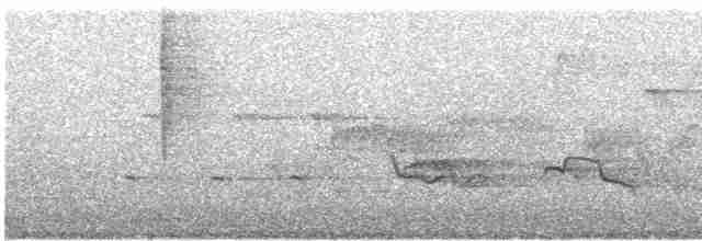 Lawrence's Warbler (hybrid) - ML575866101