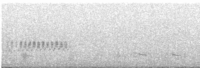 Kaya Çıtkuşu - ML575872091