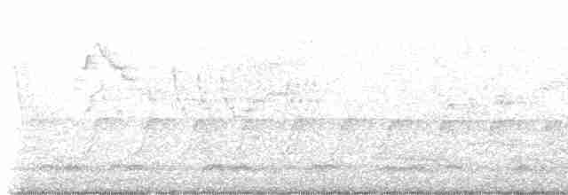 Пестрогорлый соловьиный дрозд - ML575950651