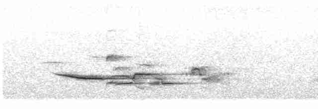 Дрізд-короткодзьоб плямистоволий - ML576004991