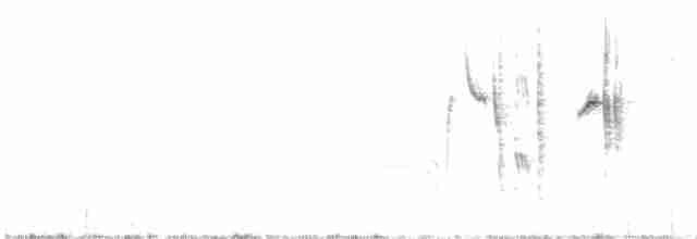 Txinbo papargorrizta iberiarra - ML576007301