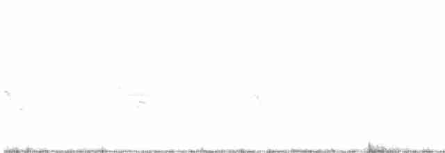 Пересмішник сірий - ML576028261