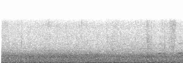 Сичик-горобець магеланський - ML576037251