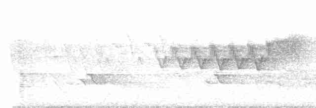 Cerulean Warbler - ML576090071