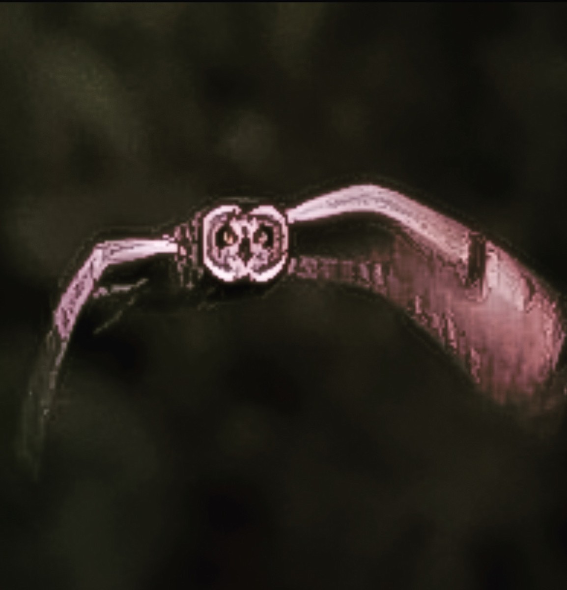 Short-eared Owl - ML576118921