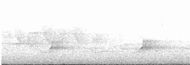 Cerulean Warbler - ML576161771