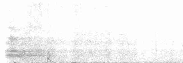 Тасманийский ворон - ML576245611