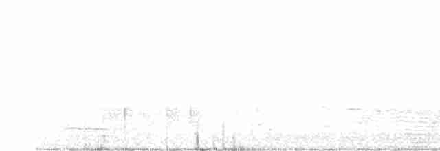 Siffleur mélanésien - ML576246051