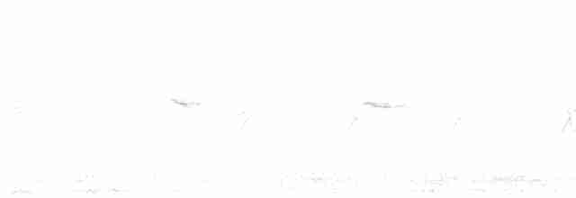 Pouillot de Swinhoe - ML576246271