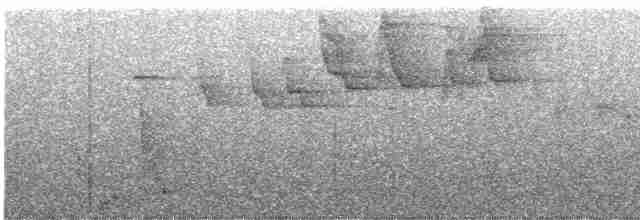 Серогрудый певун - ML576295801