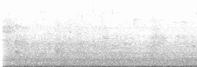 Дрізд-короткодзьоб малий - ML576308541