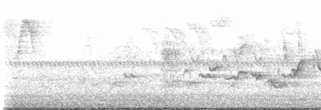 tyranovec vrbový - ML576308711