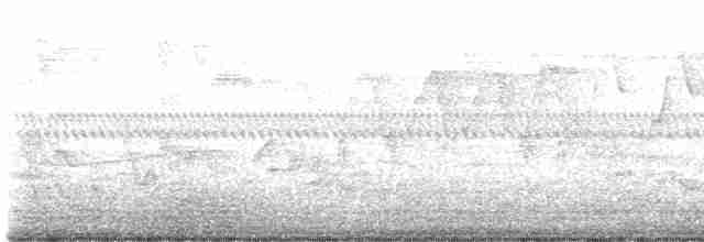 tyranovec vrbový - ML576308951