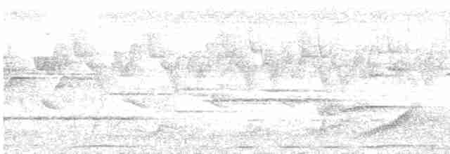 Скриточуб гімалайський - ML576321501