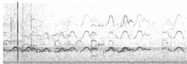 ハジロオオシギ（semipalmata） - ML57634611