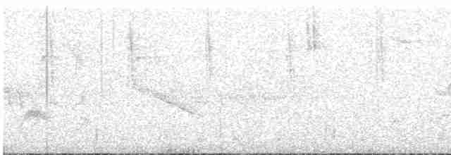 Колібрі-довгохвіст смарагдовий - ML576357271