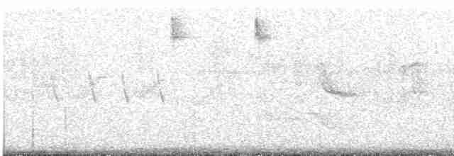 Светлогузый москитеро - ML576357511