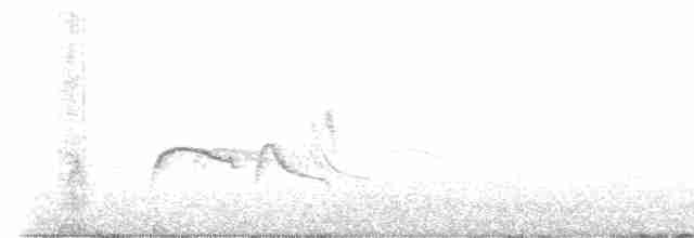 tyranovec severský - ML576368851