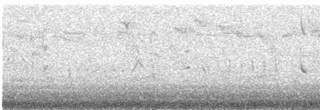Long-tailed Meadowlark - ML576373941