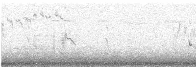 Long-tailed Meadowlark - ML576373951