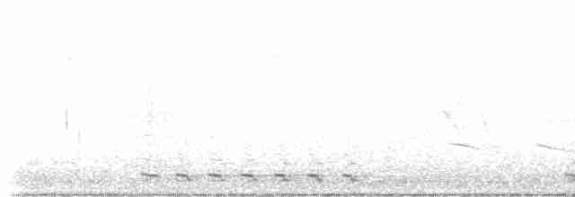 Black-billed Cuckoo - ML576386981